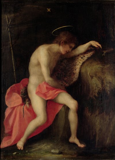 Johannes der Täufer in der Wüste von Andrea del Sarto